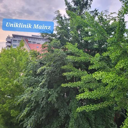 民宿 Gemutliches - Sehr Zentral An Der Uniklinik 美因茨